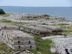 There's just something captivating about lobster traps.