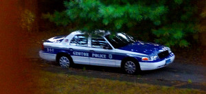 DSC06107_PoliceCar