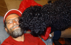 Being mauled by a Portuguese Water Dog.