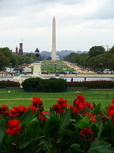 The National Mall(as seen from the Capitol)