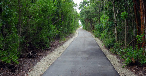 The cycling path.