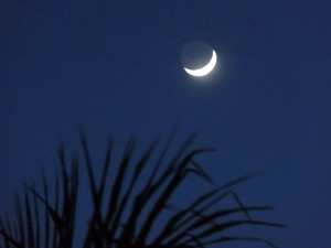 Moon over Miami.