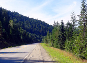 A seemingly quiet road.