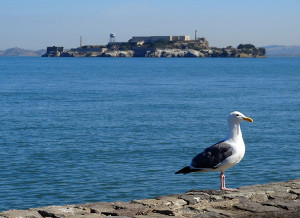 Alcatraz!