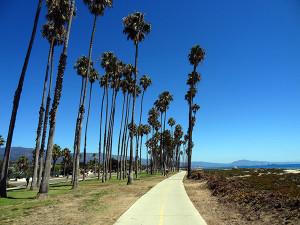 The coastal paths have been a bonus.