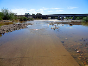 Slightly flooded trail