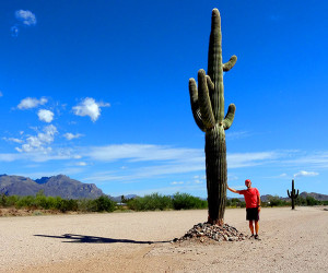 Note to self: Don't lean against a cactus!Clearly I learned nothing from Wile E. Coyote.