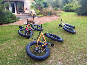 Fat bikes.  Obviously.