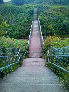 No Google, stairs should NOT be part of a cycle route.