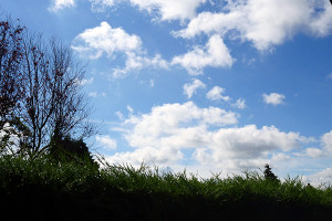 A blue sky to start the day!